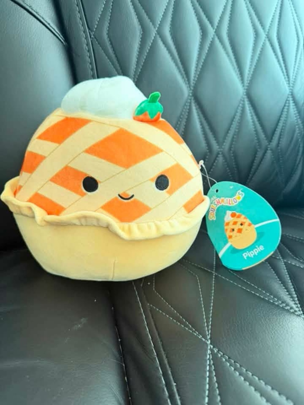 NWT Squishmallow